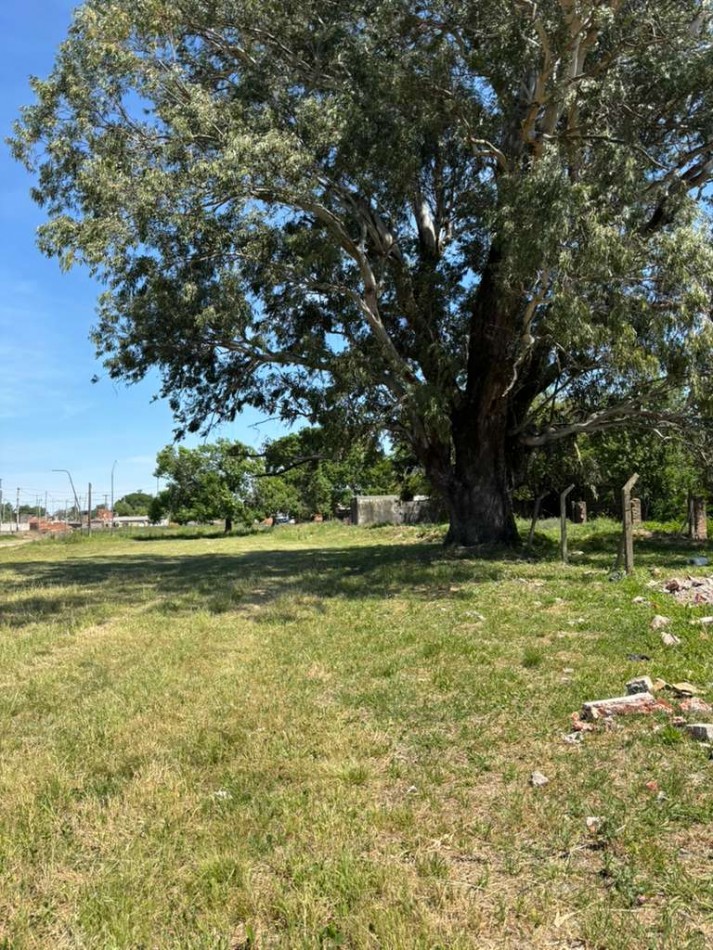 Gran lote sobre General Paz al 8000