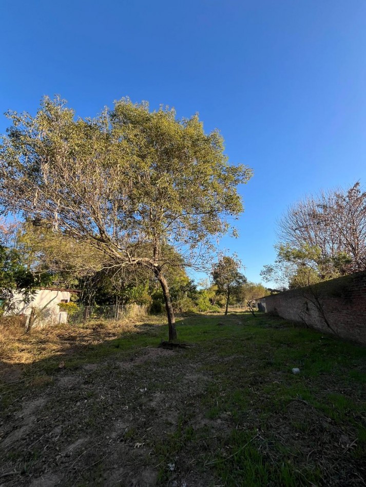 TERRENO EN VENTA en San Jose del Rincon