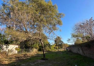 TERRENO EN VENTA en San Jose del Rincon